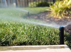 rs=w_370,cg_true,m (11)