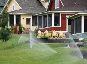 rs=w_370,cg_true,m (12)