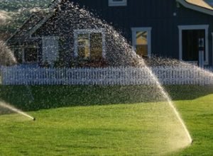 rs=w_370,cg_true,m (16)