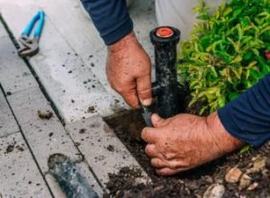 rs=w_370,cg_true,m (4)