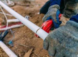 rs=w_370,cg_true,m (6)